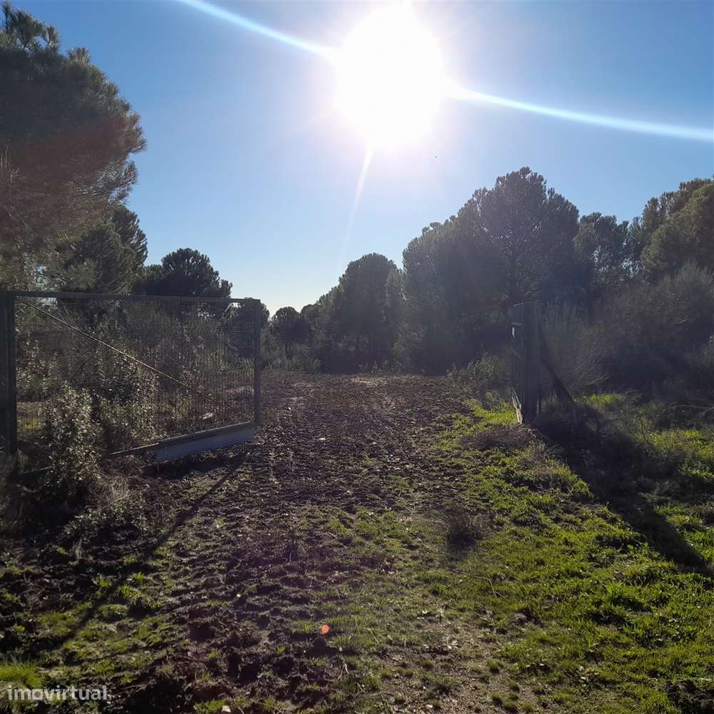 Herdade T5 Venda em Escalos de Baixo e Mata,Castelo Branco-21