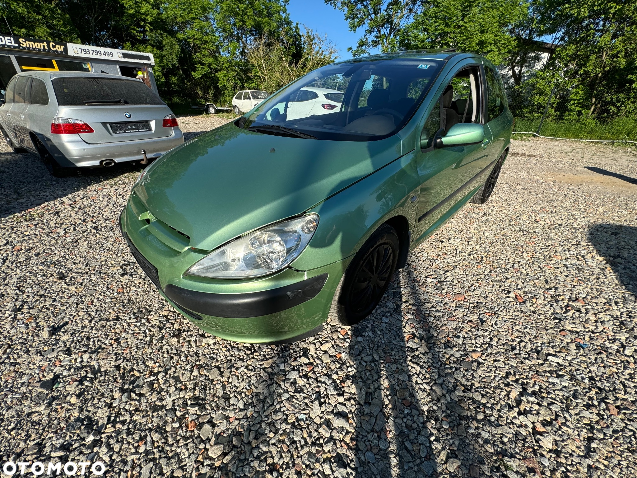 Peugeot 307 1.6 XS - 13