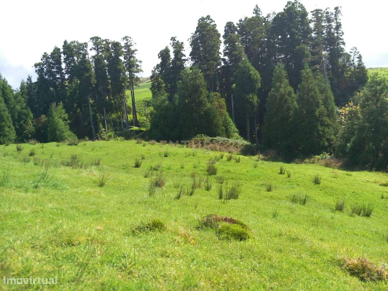 Terreno Rustico. - Grande imagem: 3/4