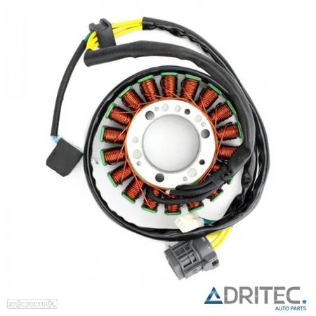 STATOR CAN AM DS 250 (2008-2016) - 2