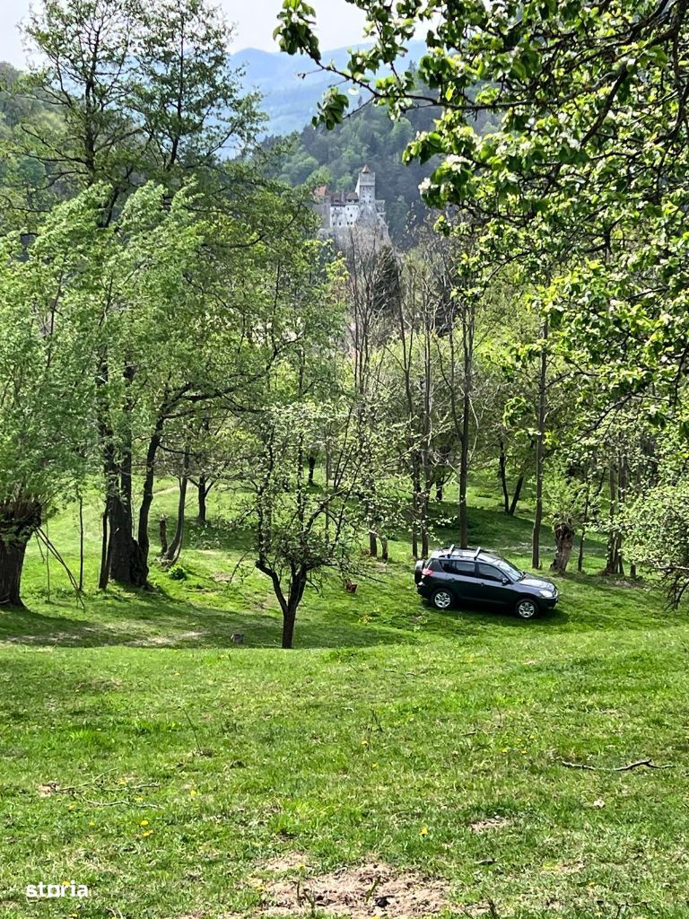 Teren cu vedere la Castelul Bran