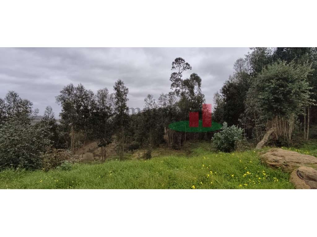 Terreno - Casal das Freiras - Grande imagem: 5/12