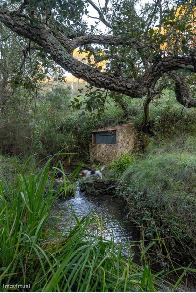 Propriedade única na Serra de Grândola - Terreno de 6,9 ha com vista p-11