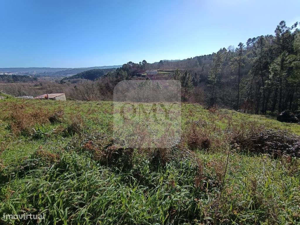 Terreno em Quintela, Vila Marim, Vila Real - Grande imagem: 4/9