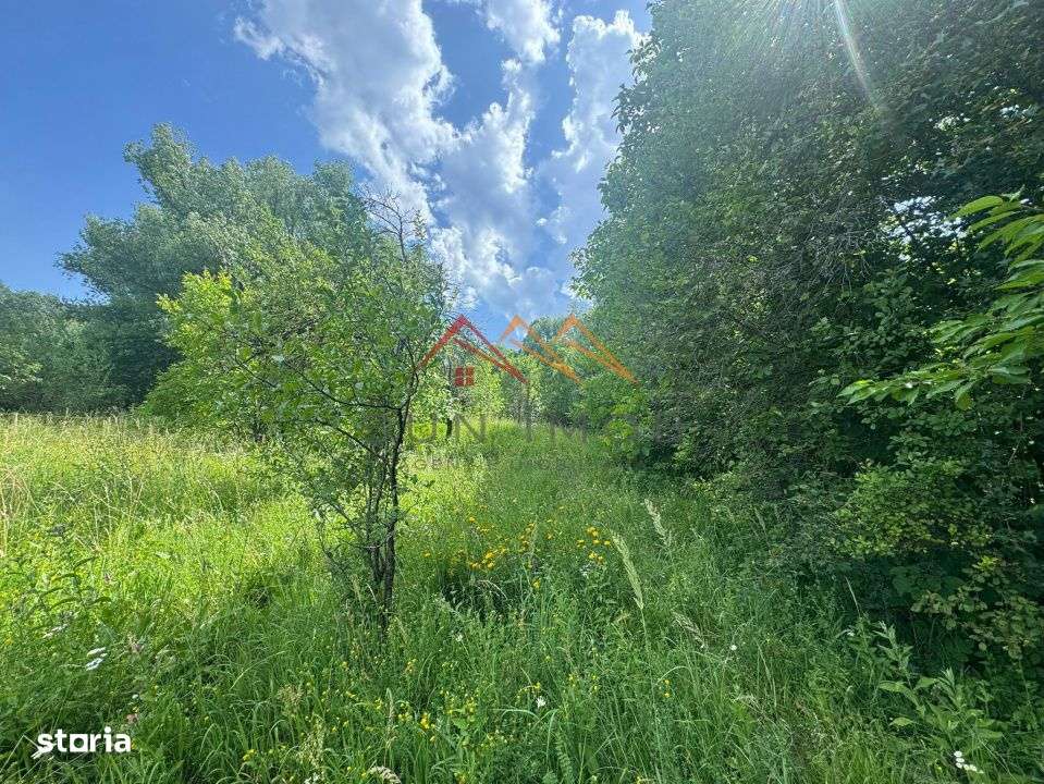 Teren 2037 mp, 17 ml deschidere, utilitati in zona, vedere panoramica-5