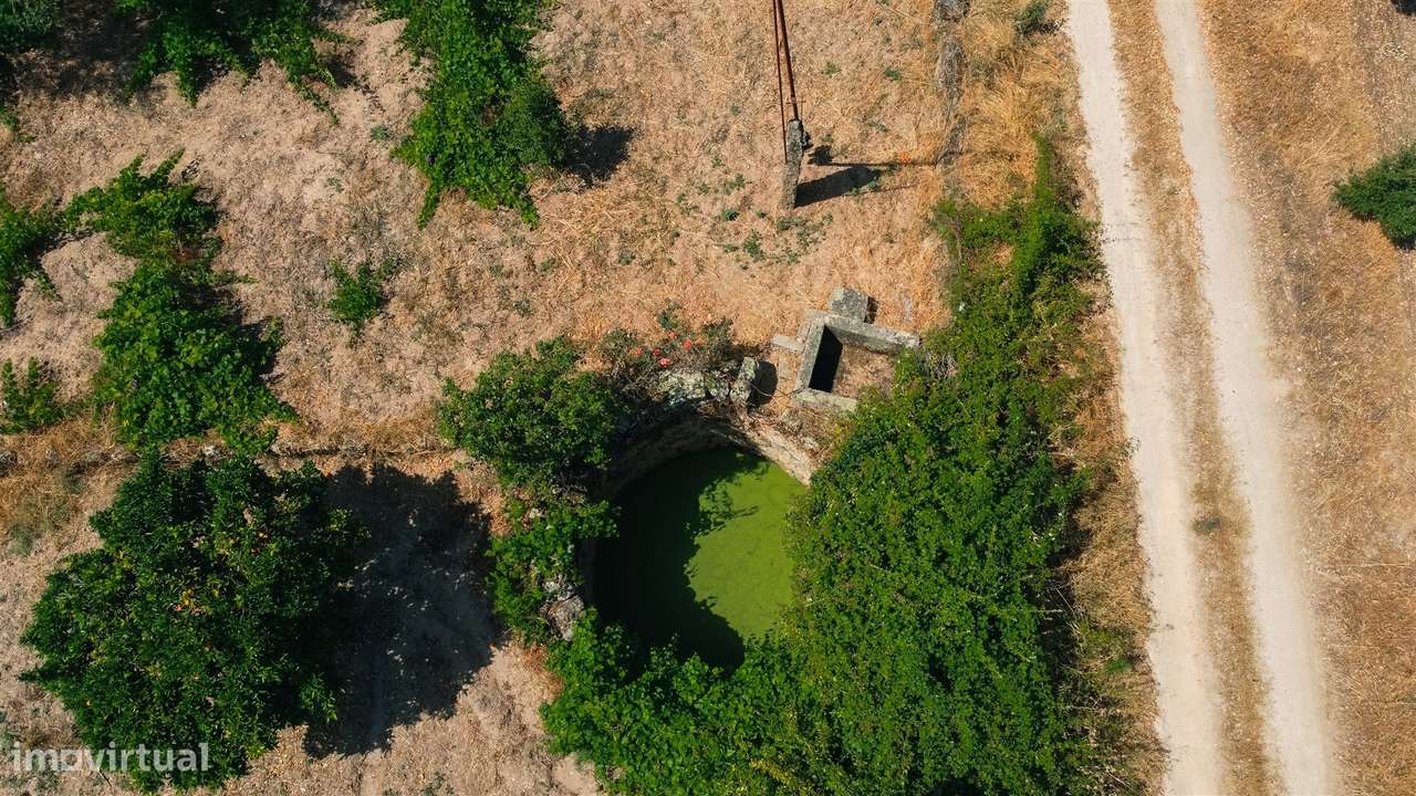 Terreno Rústico  Venda em Escalos de Cima e Lousa,Castelo Branco-18