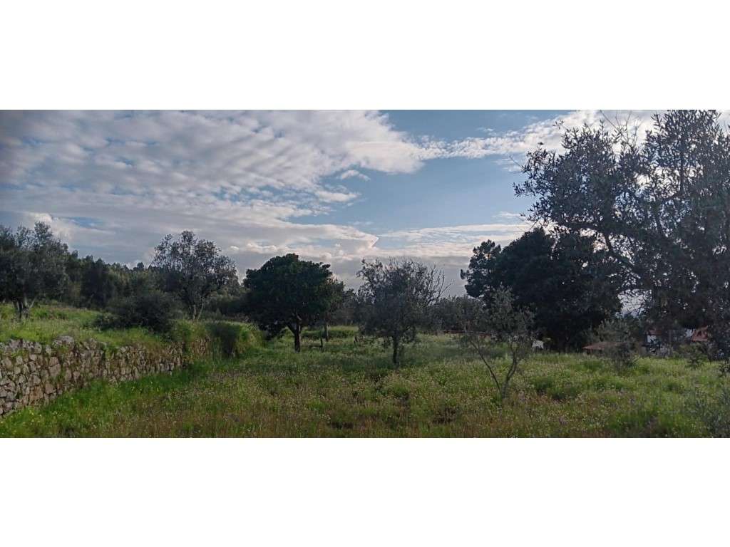 Terreno rústico com construção rural em Aldeia a 5 minutos da Vila ... - Grande imagem: 4/13