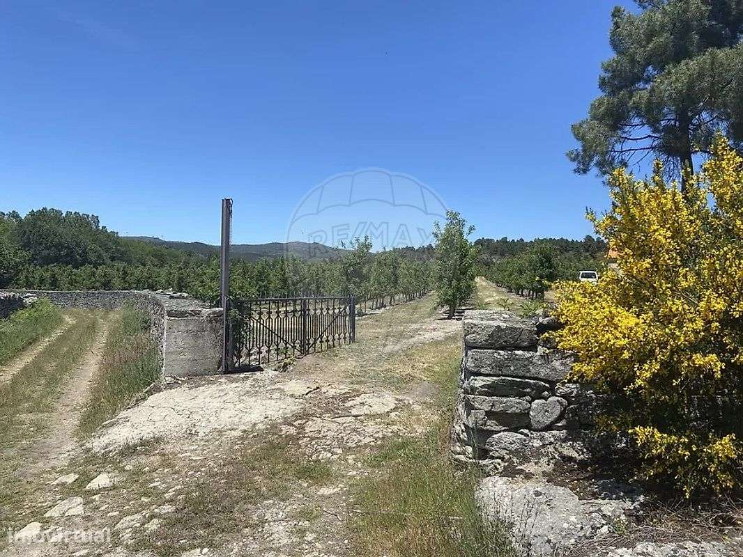 Quinta  para venda - Grande imagem: 2/10