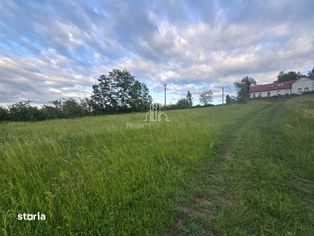 Teren de vanzare intravilan, 2000 Mp, Albesti, Sighisoara - Imagine principală: 2/10