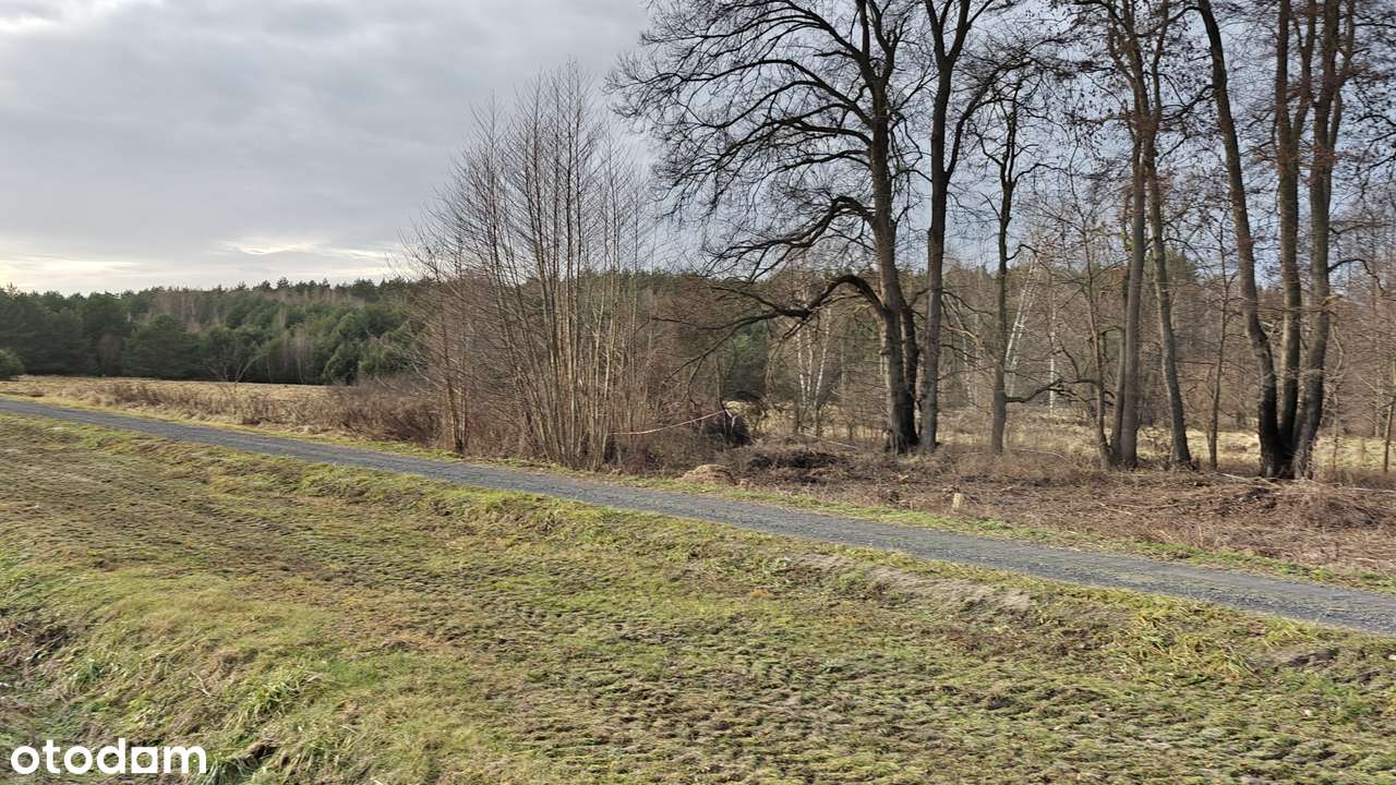 Działka przemysłowa Nowa Sól , 1484m2.-1