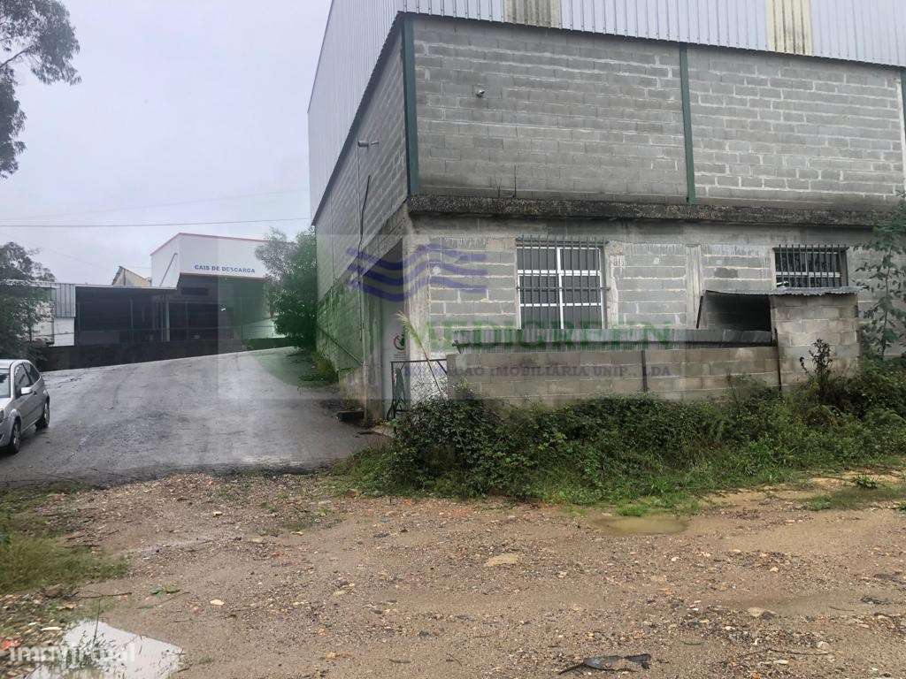 PAVILHÃO INDUSTRIAL NA SENHORINHA - SEVER DO VOUGA - Grande imagem: 4/8