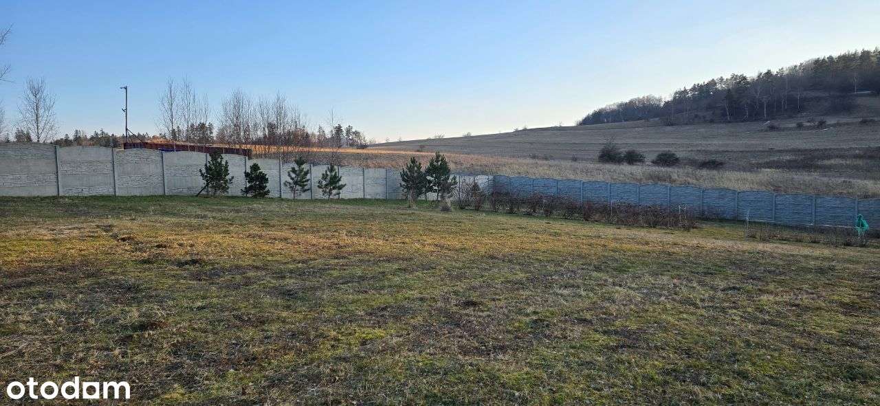 Działka budowlana - Dzikowiec - Pełny obrazek: 4/9