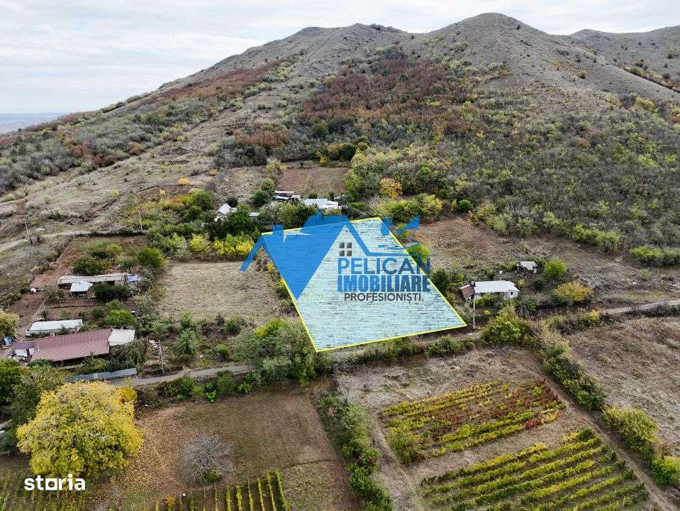 Teren intravilan NICULITEL, zona deosebita, 3044MP-4