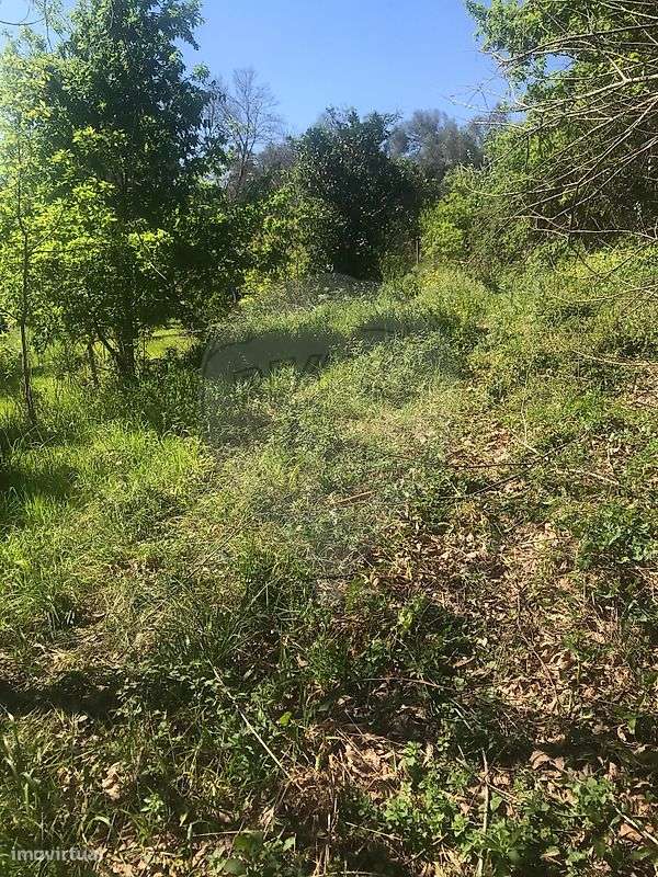 Terreno  para venda - Grande imagem: 5/6
