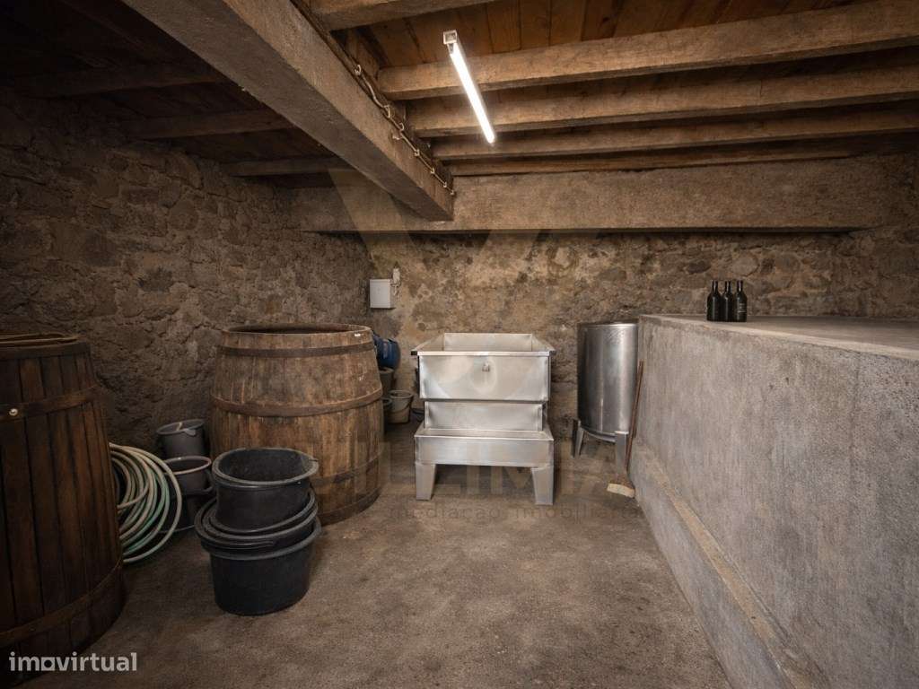 Propriedade com Casa Antiga T3 para Restauro - Beiral do Lima-16