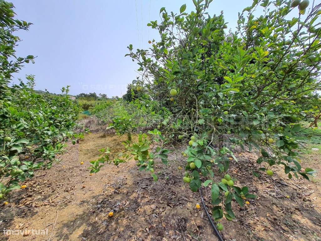 Terreno Misto em zona Urbana com 5.625m2 em Caeiro - Mafra - Grande imagem: 5/5