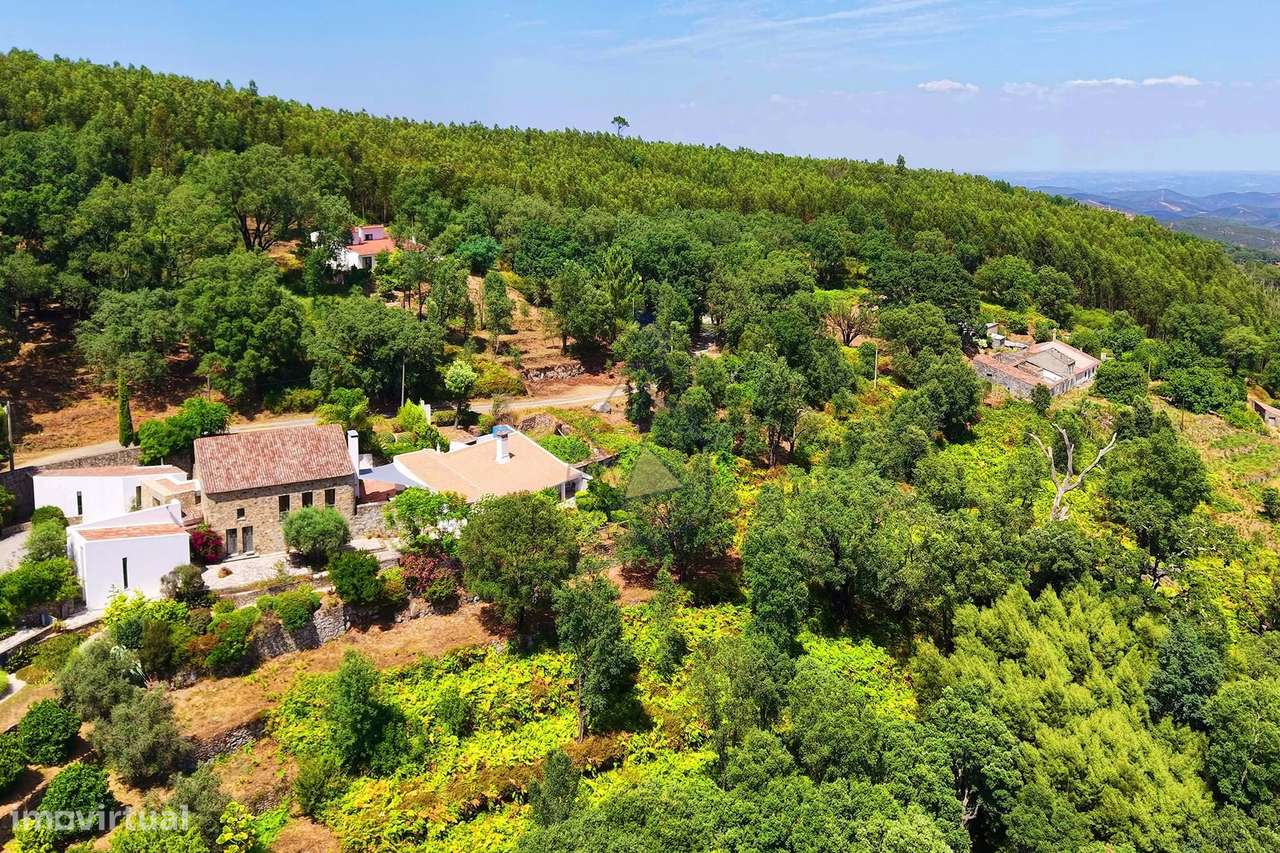 Terreno rústico com 7120 m2 na Fóia - Monchique - Grande imagem: 5/14