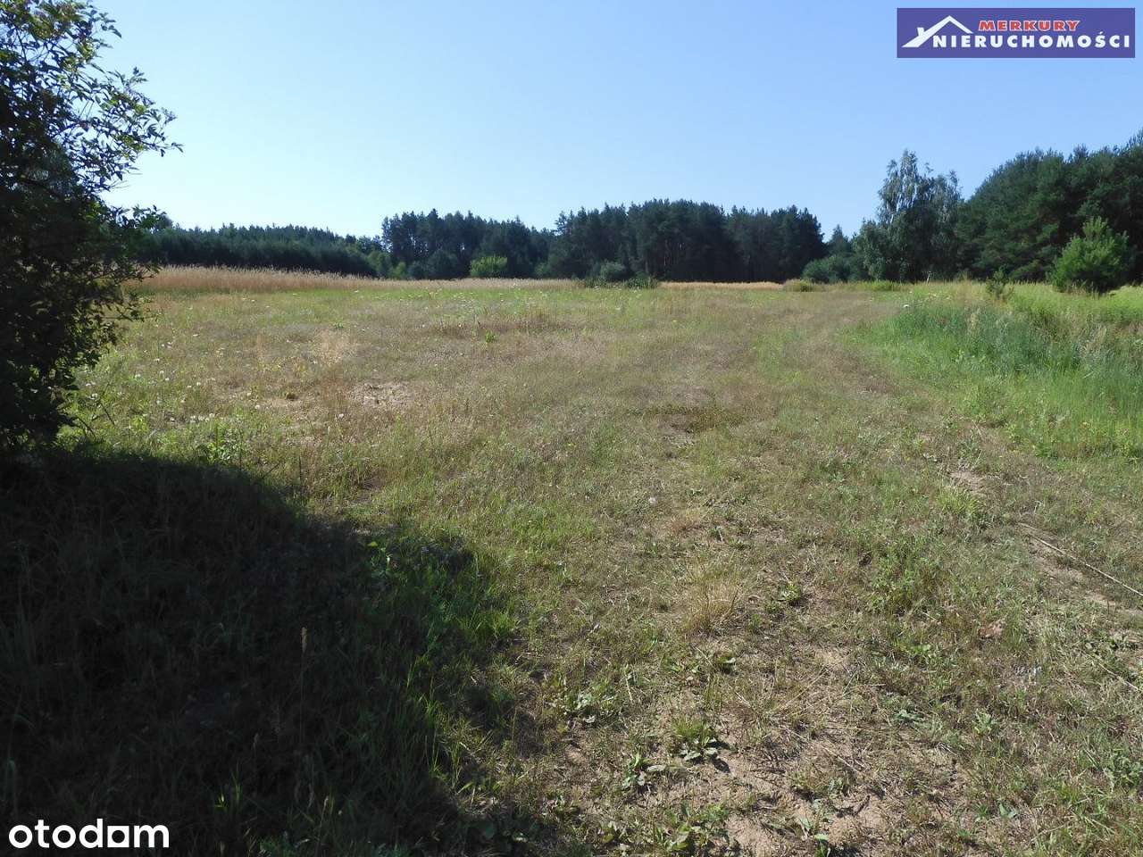 1,96 ha w gminie Bałtów-4