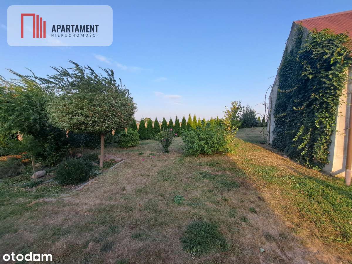 Siedlisko w pięknej okolicy - Pełny obrazek: 4/15