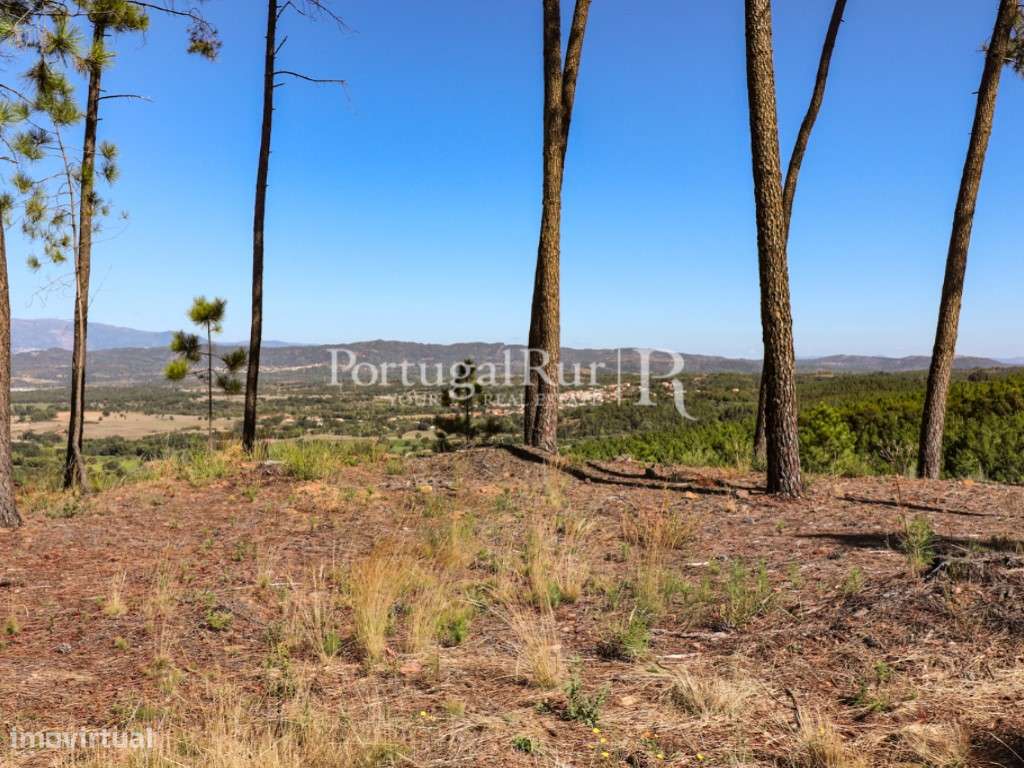 Quinta de 4 ha com 3 casas e cerejeiras no Fundão, ideal para turismo-37