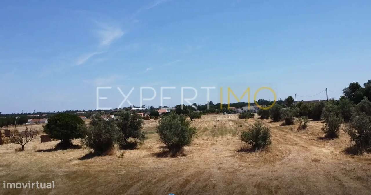 Terreno Rústico com 25.800m² nas Lagameças, Palmela - Grande imagem: 4/6