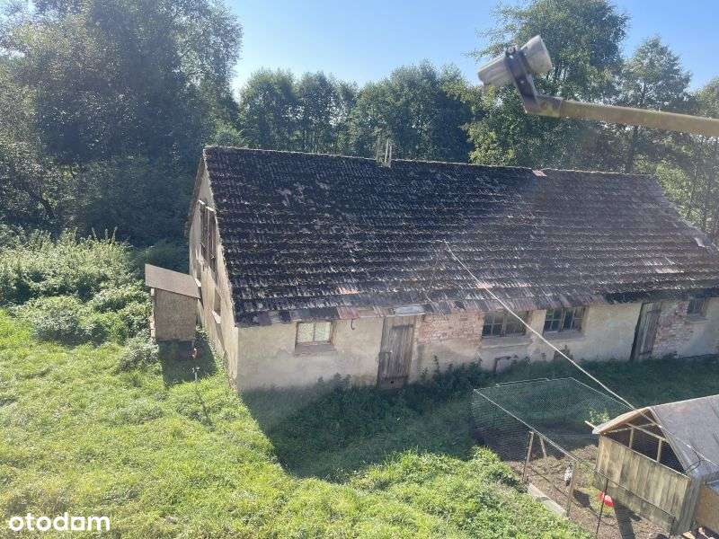 Na sprzedaż Pałac w Gostkowie, o pow. 1173m2 - Pełny obrazek: 4/7