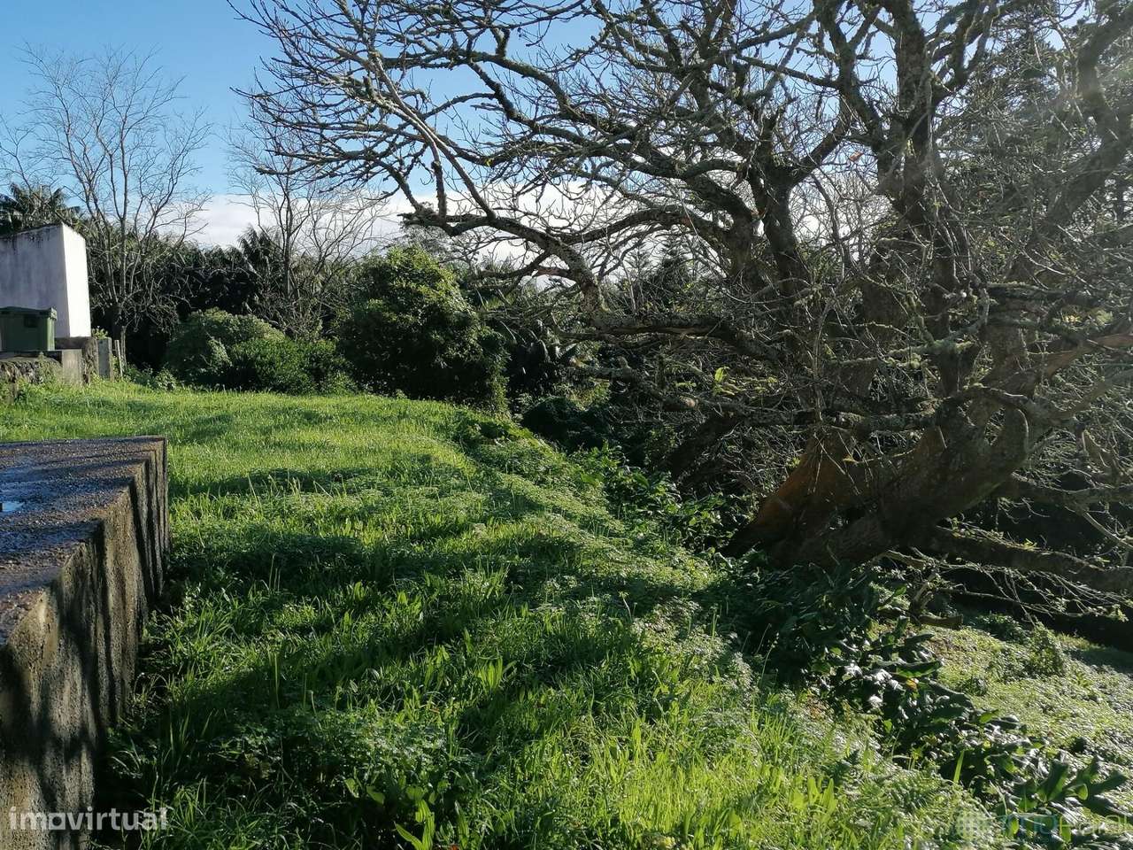 T3 c/Marquise| Flamengos-35