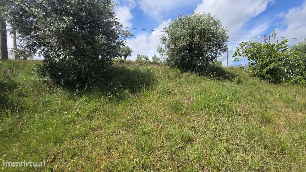 Excelente Terreno para Moradia a 5 kms de Tomar-26