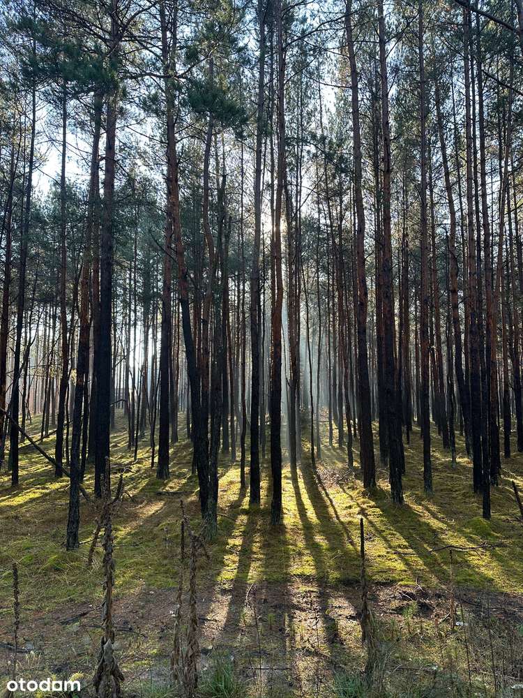 Działka budowlana Olsztyn-4