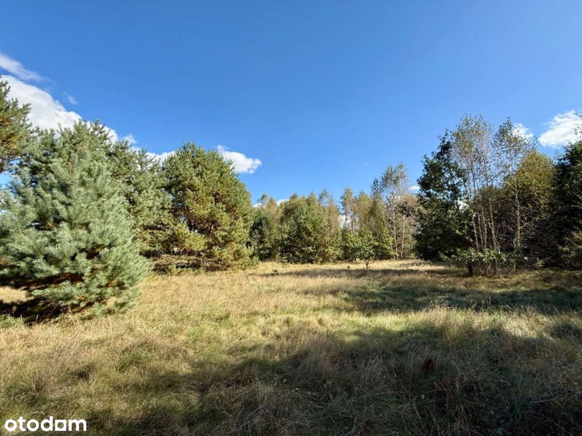 Malownicza Działka 7100m2!, Gmina Miedziana Góra - Pełny obrazek: 5/7