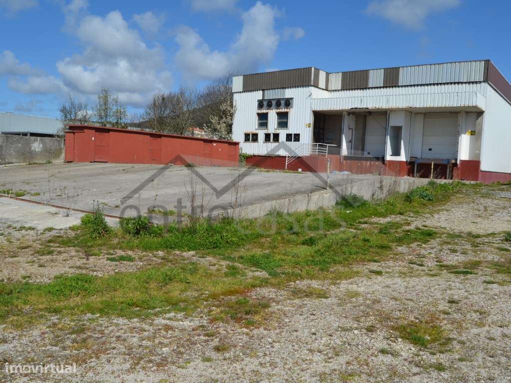 Armazém + Terreno - Grande imagem: 4/8