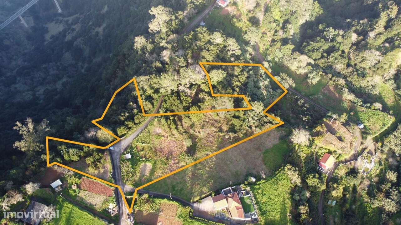 Terreno com 8670 m2 em São Jorge – Localização Privilegiada Próxima ao - Grande imagem: 2/19