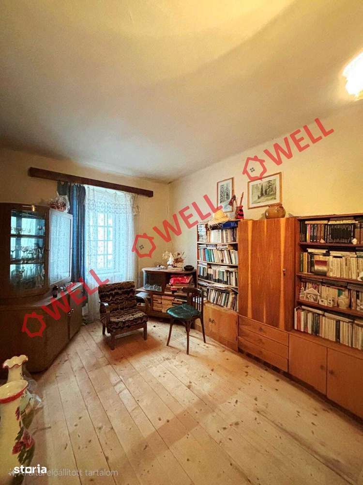De vânzare casă familială în loc. Jimbor - Imagine principală: 5/16