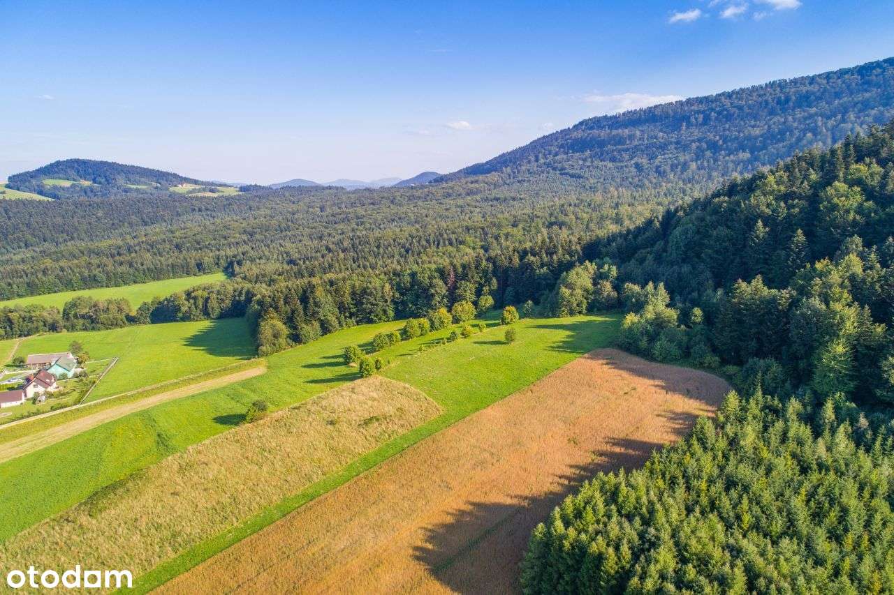 Widokowa działka Grybów -Ptaszkowa - Pełny obrazek: 5/5