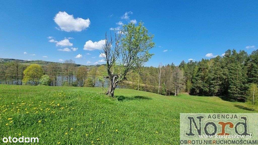 Półwysep na Suwalszczyźnie, 550 M linii brzegowej - Pełny obrazek: 5/20