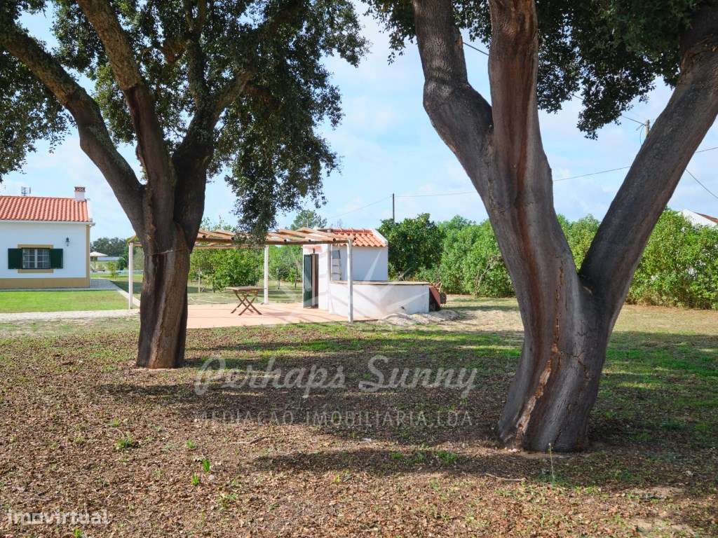 Quinta V6 - Grândola-8