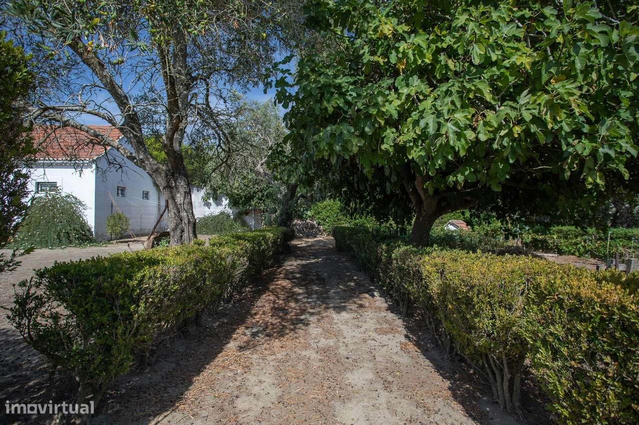 Quinta na freguesia da Trafaria - Grande imagem: 5/60