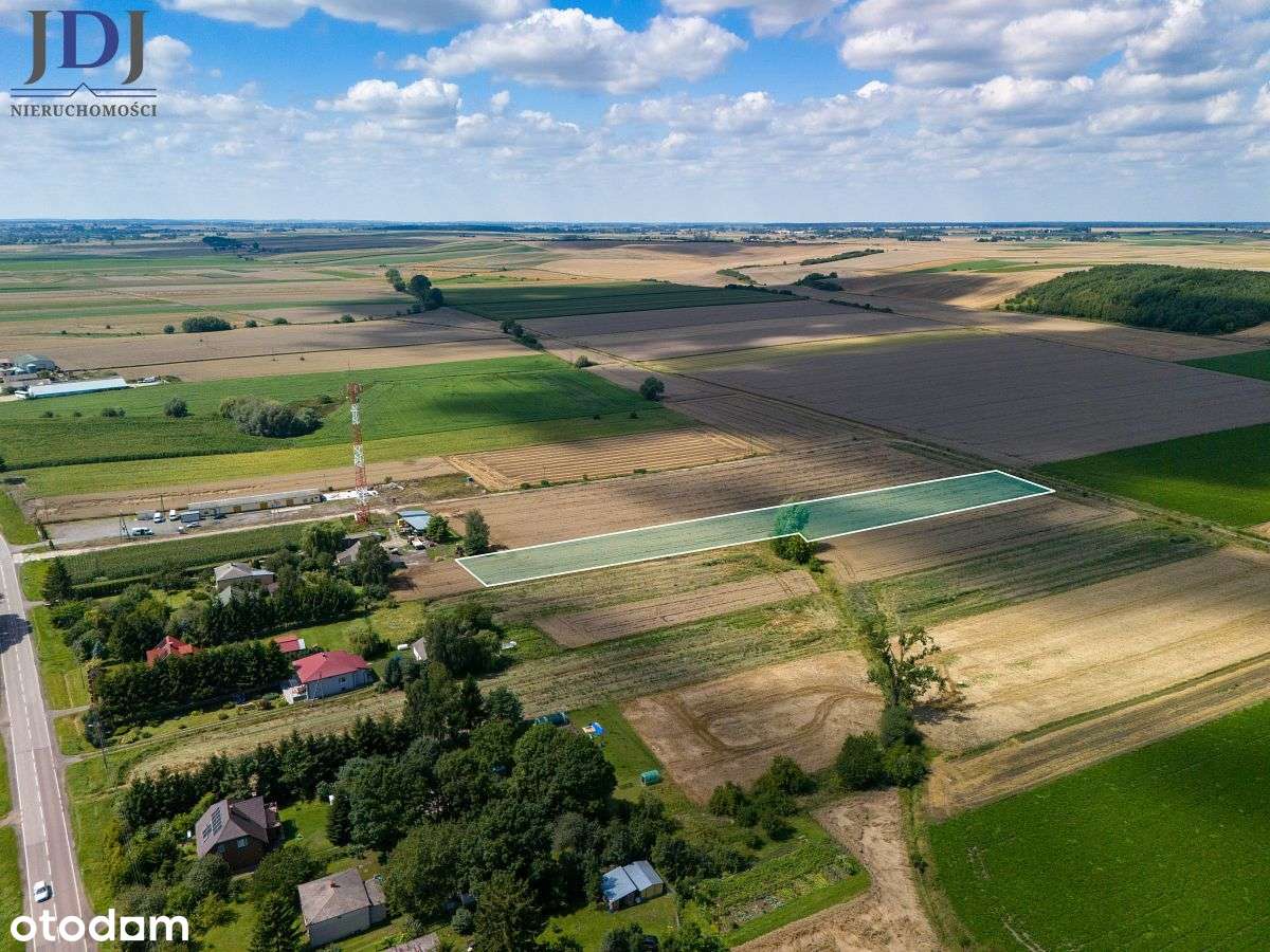 Działka rolna 79 ar. Strzyżów. Horodło. Lubelskie - Pełny obrazek: 4/10