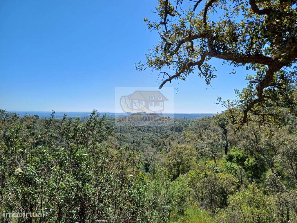 Propriedade na serra para Turismo - 30 minutos das praias - Grande imagem: 1/12