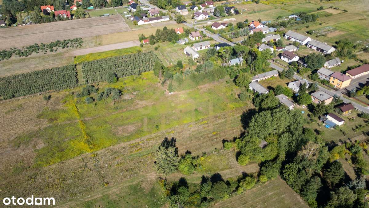 Działka budowlana/Czarny Las/ Góra Kalwaria/MPZP - Pełny obrazek: 4/6