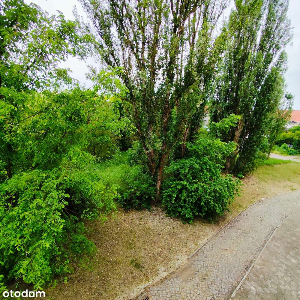 Sprzedam kawalerkę po remoncie ,w Podjuchach,w zielonej okolicy.-15