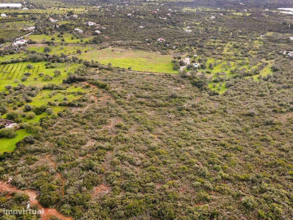 Terreno com 85,640 m2 localizado em Foupana, Olhão, Algarve - Grande imagem: 4/22