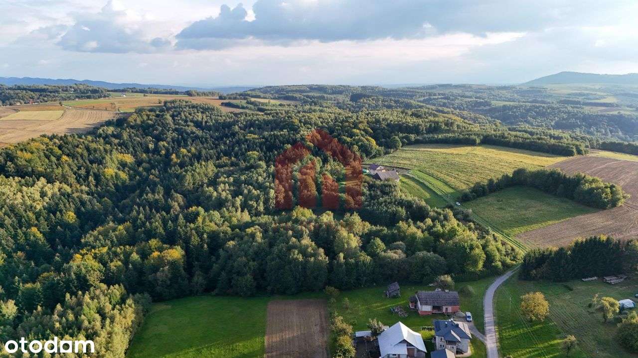 1,47 ha, Wz! dom w lesie? biznes? Jedyna taka!-8