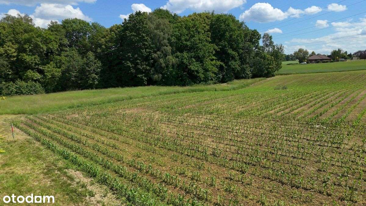 Działka Inwestycyjna 0,5811 HA | Mazańcowice