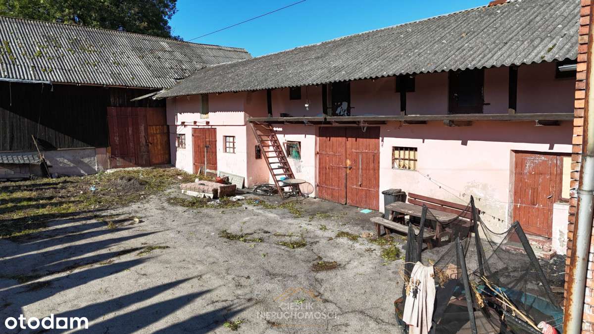 Nieruchomość z potencjałem inwestycyjnym – 3,8 ha-13