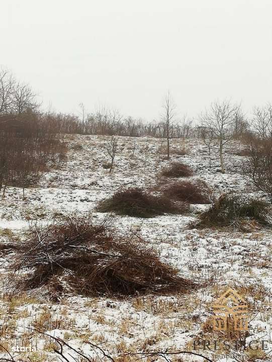 Teren intravilan de vanzare in zona Gheorghe Doja-Oradea - Imagine principală: 4/5