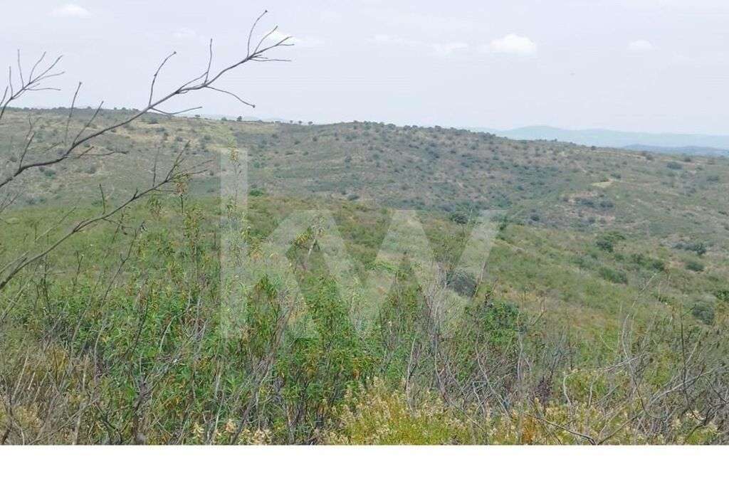 Terreno para venda em Laranjeiras, Alcoutim - Faro - Grande imagem: 3/8