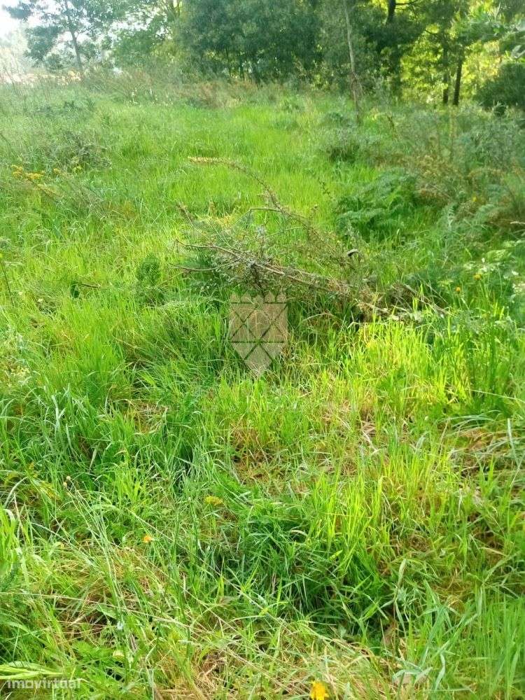 Terreno Rústico com 800 m² - Fonte Arcada - Grande imagem: 2/7