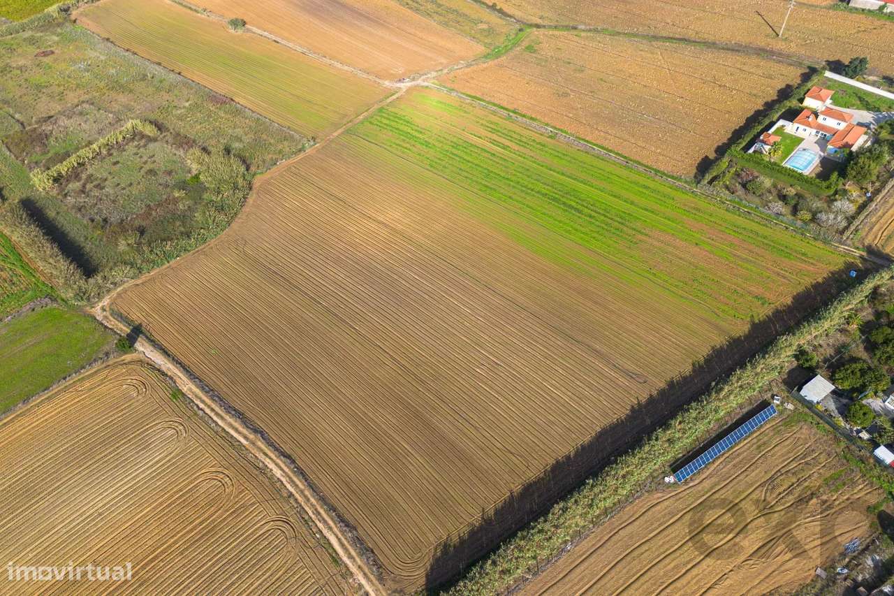 Terreno com bom potencial - Grande imagem: 4/10