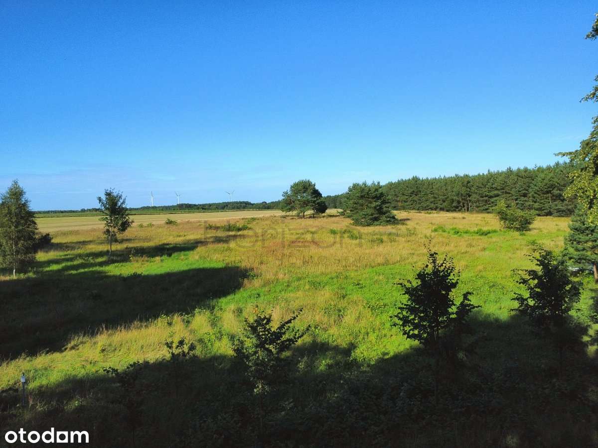 Działki budowlana pod lasem | WZ bezterminowe | Kołobrzeg 17km!-7